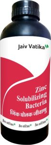 Zinc Solubilizing Bacteria