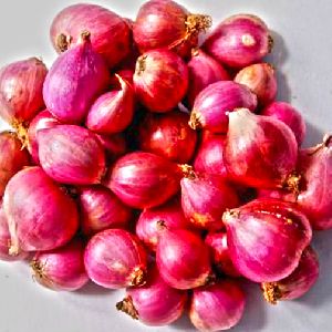 Fresh Sambar Onion