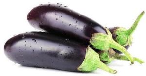 Fresh Brinjal