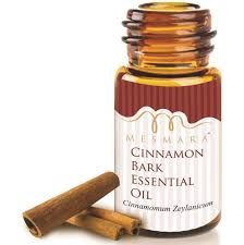 Cinnamon Bark Essential Oil