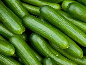 Fresh Green Cucumber
