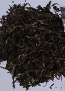 Oolong Tea