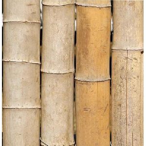 Assam Bamboo Logs