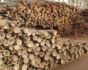 Orissa Bamboo Logs