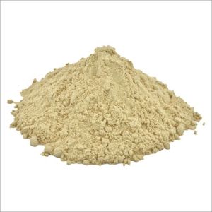 Giloy Powder