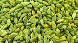 Cardamom