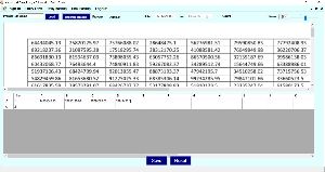 Excel Numerical Data Entry