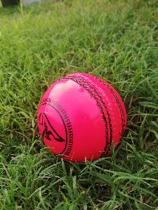 S.A pink leather ball