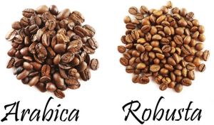 Coffee Beans