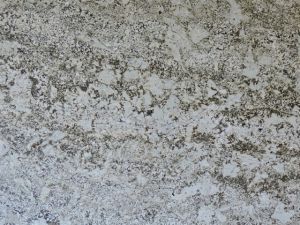 alaska white granite