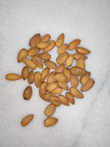 Almond Nuts