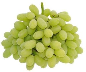 Fresh Grapes