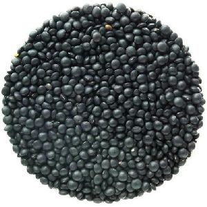 Black Lentils