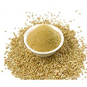 Coriander Powder