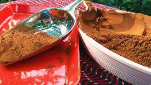 Raw cocoa powder for bakery application