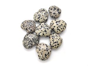 dalmatian gemstone