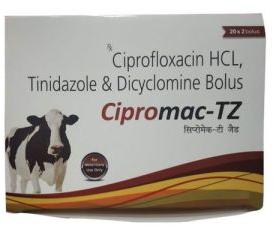 Ciprofloxacin Hyd 1500 mg +Tin 1800 mg