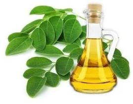 moringa ben oil