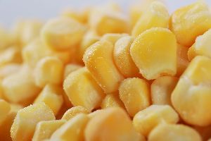 IQF/Frozen Sweet Corn Kernels