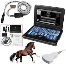 fda ce veterinary ultrasound scanner