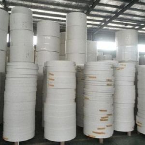 PE Coated Paper Roll