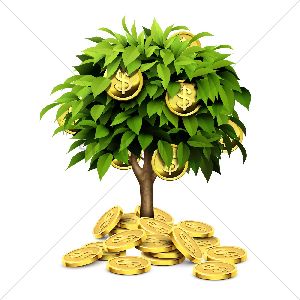 Customised Gold Coins