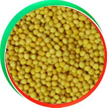 Yellow Mustard Seeds