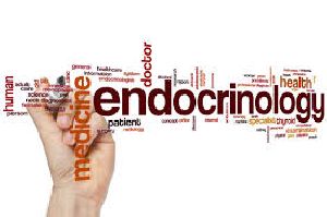 Endocrinologist - B