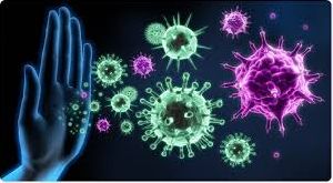 Immune System C