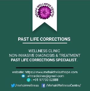 Past Life Correction Karmic Correction Non-Invasive Diagnosis and Therapy