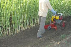 Sugarcane Weeder