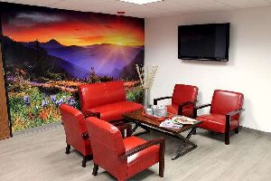 Wall Mural Printing Services