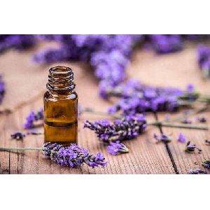 Lavender Oil