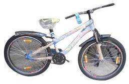 fancy kids bicycle