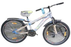 Kids Sports Bicycle