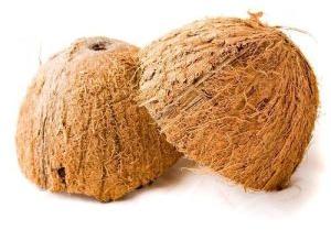 Coconut Shell