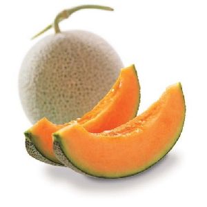 Fresh Muskmelon