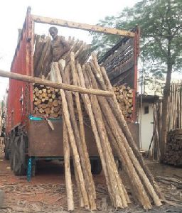 nilgiri wooden centering poles