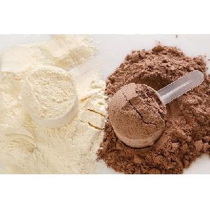 protein shake powder