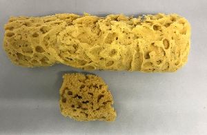 Sea Sponge Roller
