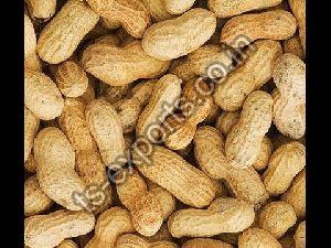 Natural Shelled Peanuts
