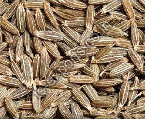 Raw Cumin Seeds