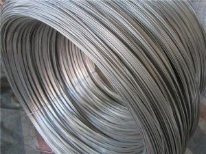 Stainless Steel Wire