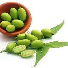 Neem Oil