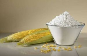 Maize Starch Powder