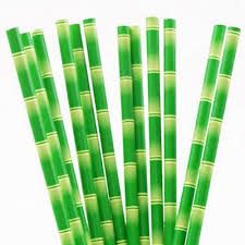 Paper &amp; Bamboo Straws