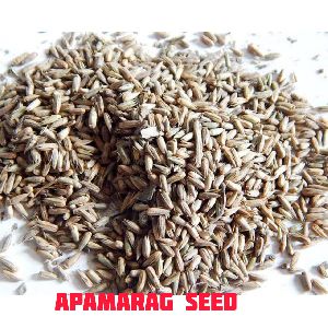 Apamarg Seeds