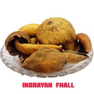 Indrayan Phal