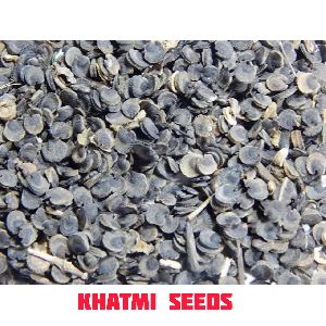 Khatmi Seeds