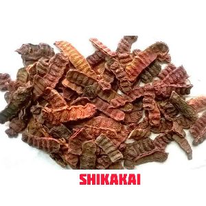 Shikakai